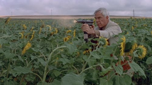 Die Professionals Bild 2