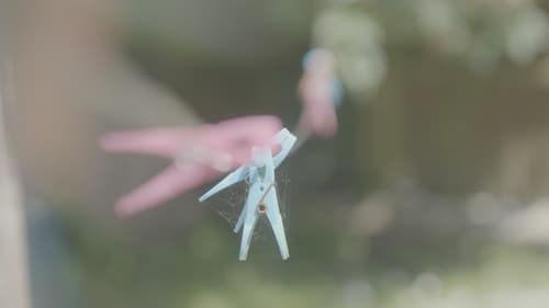 Playing House Bild 1