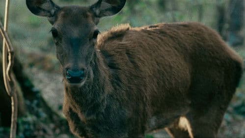 Du bout des doigts Bild 1