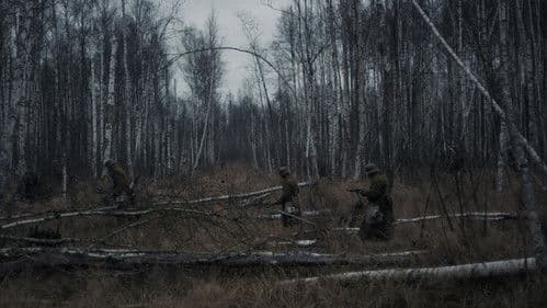 Das Licht in den Birkenwäldern Bild 2