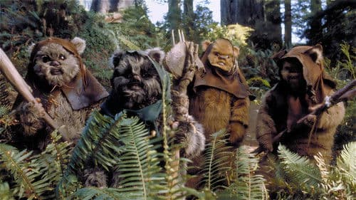 Kampf um Endor Bild 3