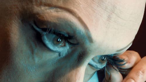 Miss Rosewood Bild 1