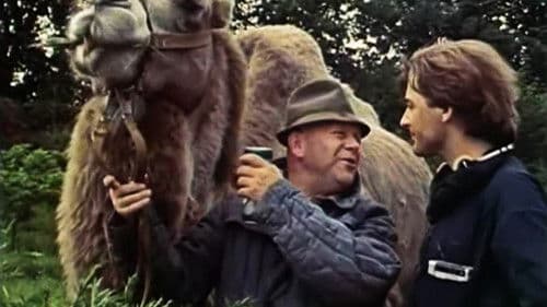 Jak się pozbyć czarnego kota? Bild 3