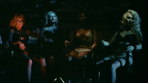 Bis die Gänsehaut erstarrt Bild 1