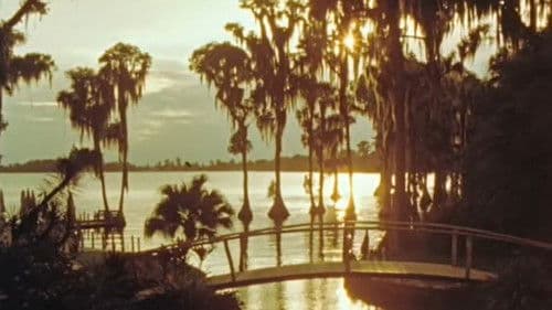 Die Parallelstrasse Bild 5