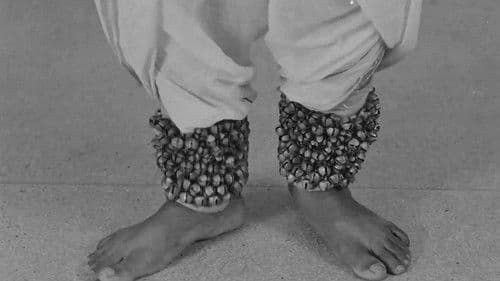 Birju Maharaj Bild 3