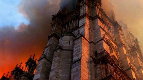Notre-Dame: Kampf gegen die Flammen Bild 5