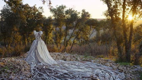 Anselm – Das Rauschen der Zeit Bild 4