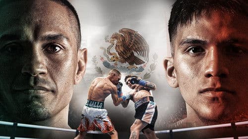 Juan Francisco Estrada vs. Jesse Rodriguez Bild 2