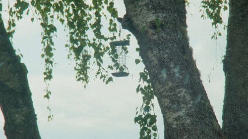 Du slår meg som en kul fyr Bild 3