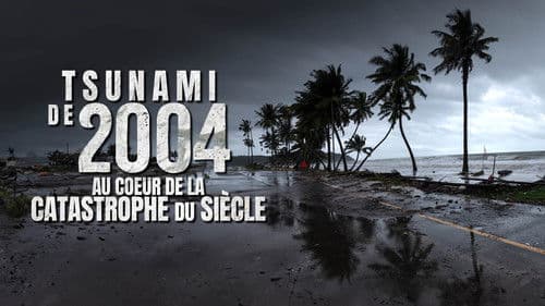 Tsunami 2004 : ils ont filmé la catastrophe du siècle Bild 1