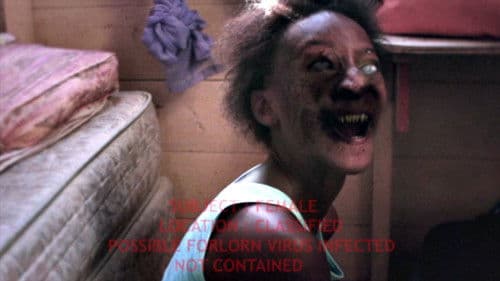 The Barbados Project Bild 3