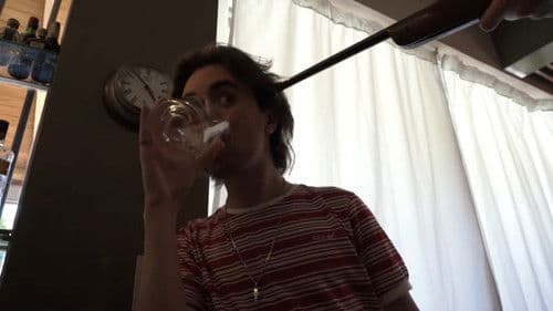 Western Falopa Bild 1