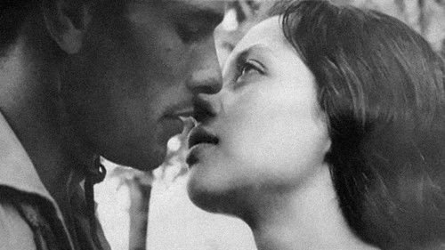 Mandacaru Vermelho Bild 2