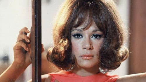 Η Αρχόντισσα κι ο Αλήτης Bild 5