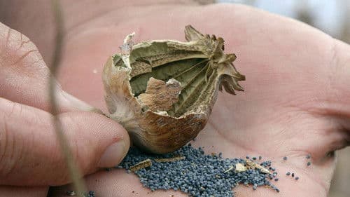 Das Jahrhundertverbrechen Bild 2