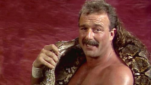 WWE Crunch Classic Bild 1