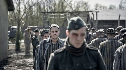 The Tattooist of Auschwitz Bild 6