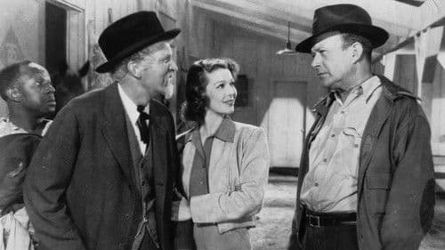 Die goldene Peitsche Bild 1