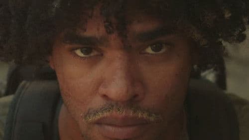 Andorinha Só Não Faz Verão Bild 2