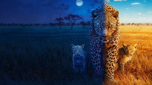 Big Cats 24/7 Bild 1