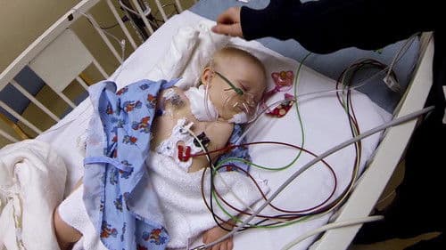 Weed the People Bild 3