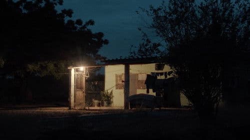 Audio y el Caimán Bild 3