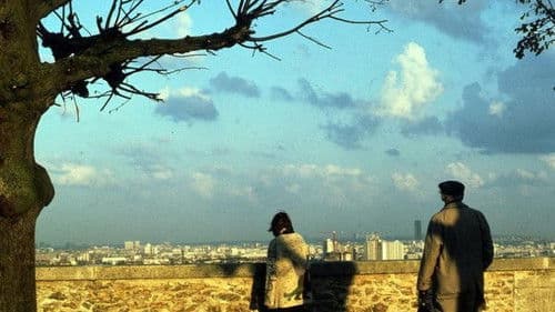 Die linkshändige Frau Bild 3