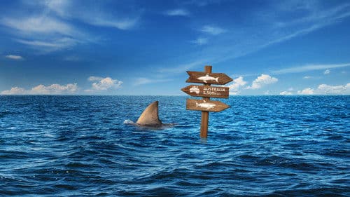 Super Shark Highway Bild 1