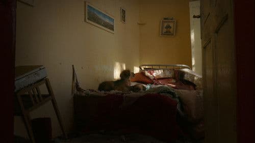 Призори из живота џукца Bild 4