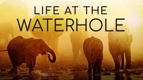Life at the Waterhole Bild 2