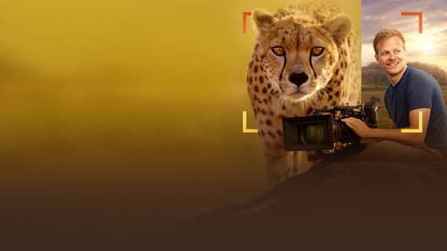 Geparde hautnah mit Bertie Gregory Bild 7