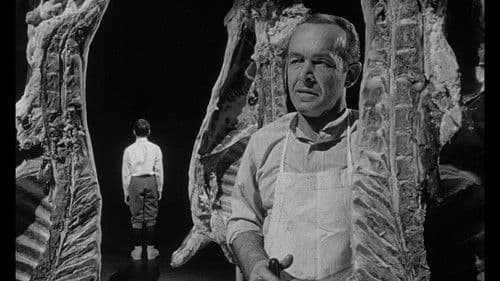 Die Sprache der Gewalt Bild 6