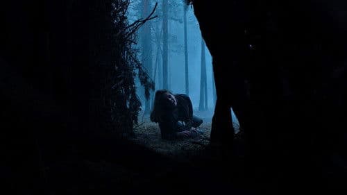 Succubus - Dämonische Begierde Bild 6