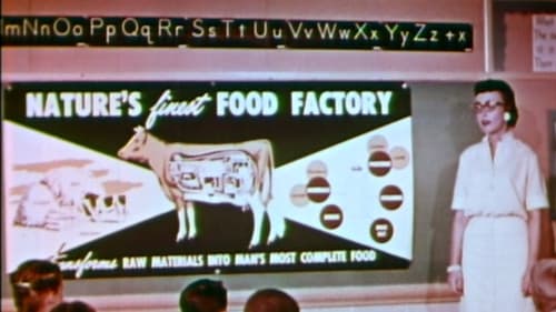 My Milkman, Joe Bild 1