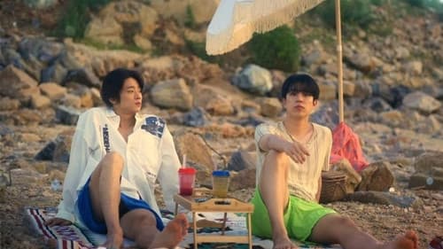 마이스윗디어 Bild 3