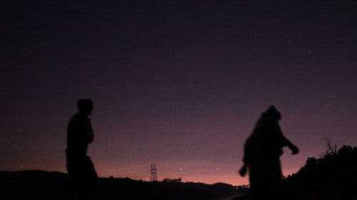 The Cosmic Clown Bild 1