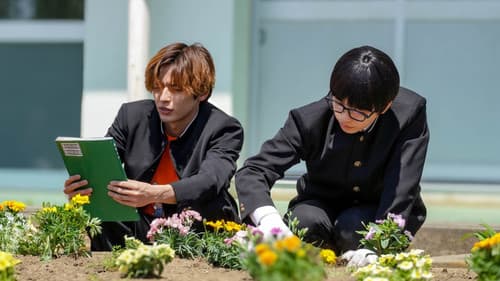 The Proper Way to Write Love Bild 8