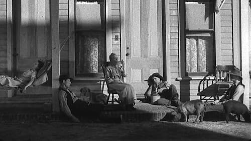 Love Nest on Wheels Bild 3