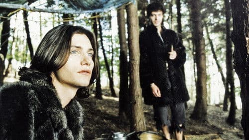 The Wolves of Kromer Bild 4