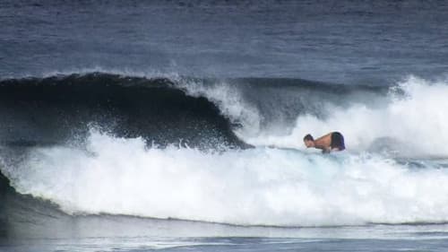 A Paradigm Shift Bild 1