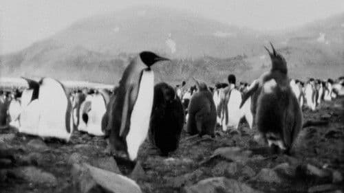 End of Summer Bild 3