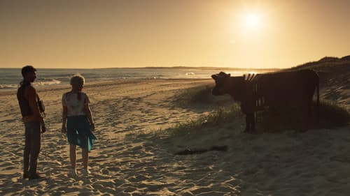 El tema del verano Bild 4