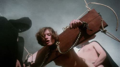 Midnight Desires Bild 5