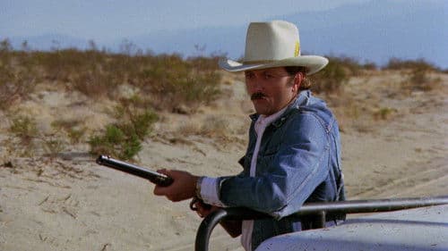 Keine Gnade, Mister Dee! Bild 4