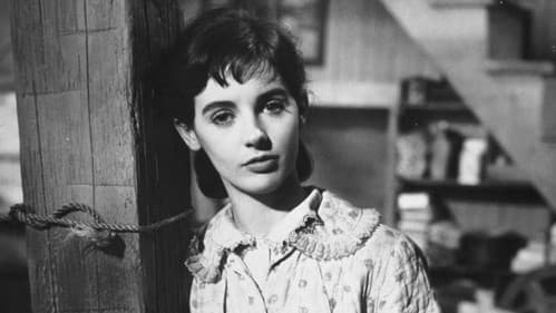 Das Tagebuch der Anne Frank Bild 3