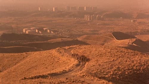 Der Geschmack der Kirsche Bild 5