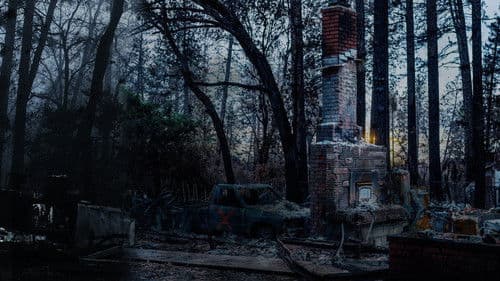 Fire in Paradise Bild 5