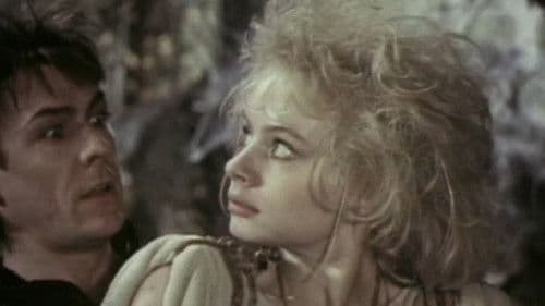 Она с метлой, он в черной шляпе Bild 1