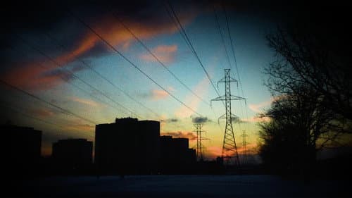 Dreams of Life Bild 2